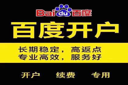 案例剖析：百度竞价排名助力企业突破困境